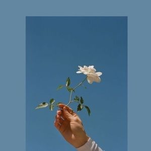 Meet your Posher, Christy